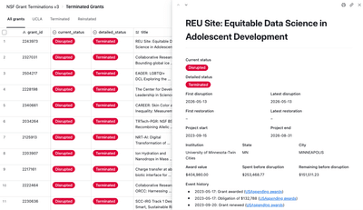A screenshot from https://grant-witness.us/nsf-data.html showing the table of disrupted grants.
